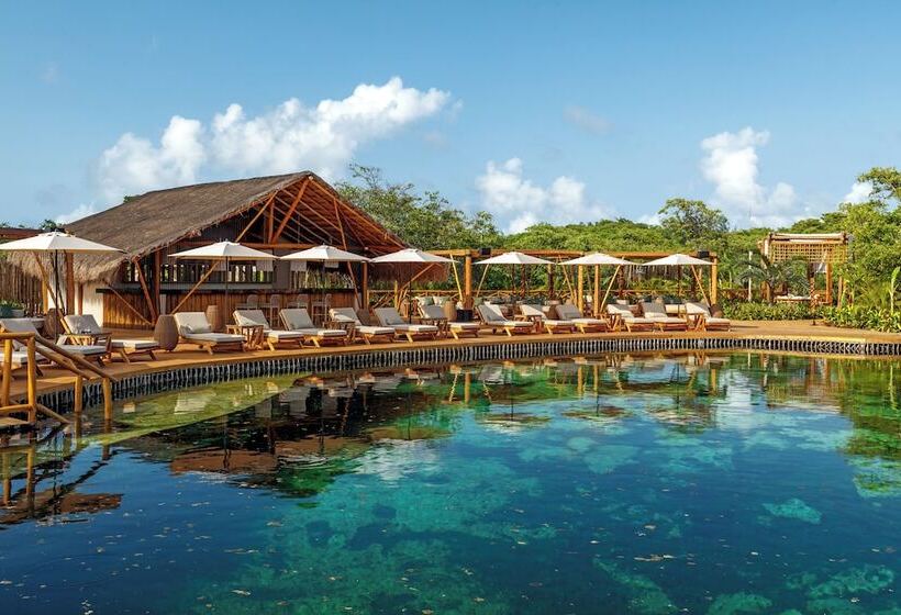 فندق Shibari   Restaurant & Cenote Club