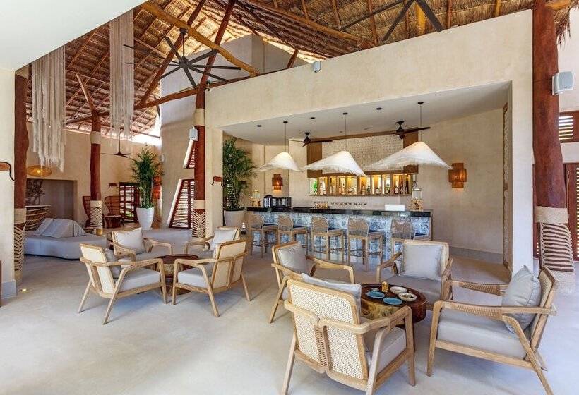 فندق Shibari   Restaurant & Cenote Club