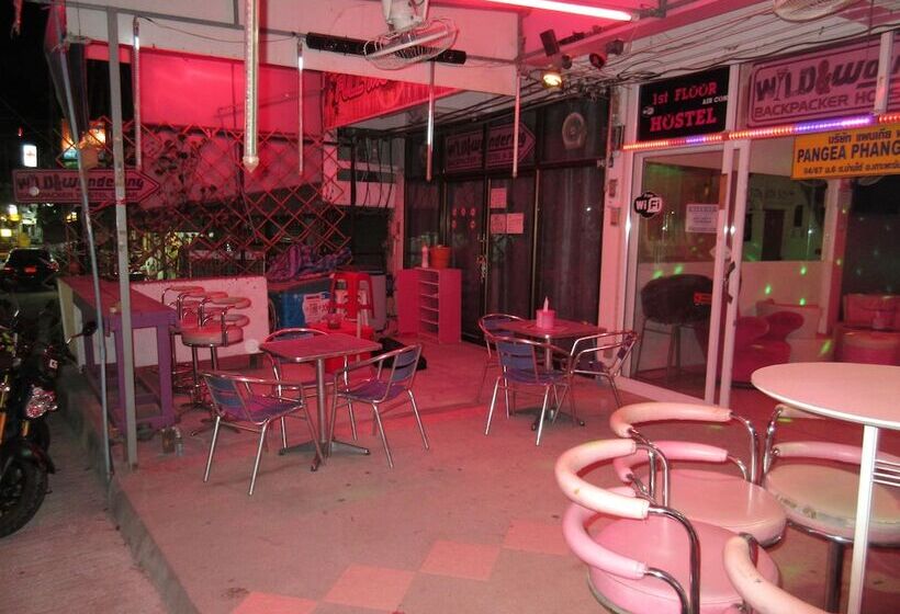 Cămin Wild & Wandering Backpacker & Bar