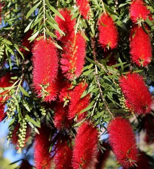 Falls Retreat Bed & Breakfast