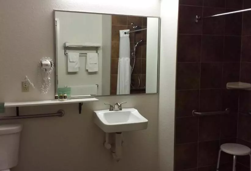 酒店 Pleasant Night Inn Carthage Ny