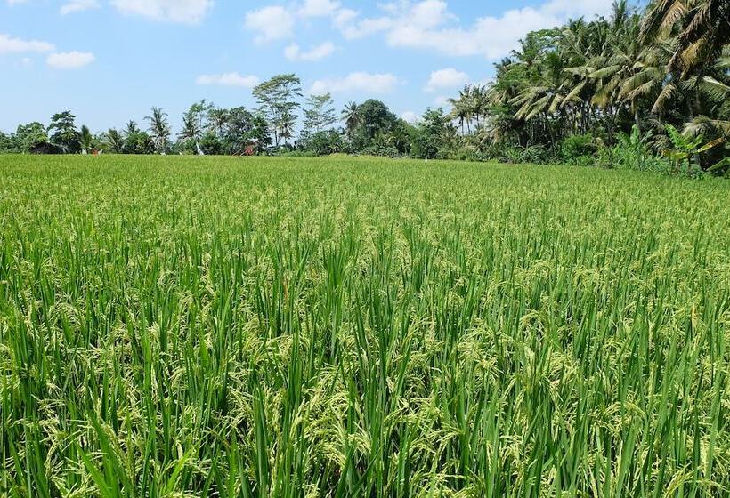 ホテル Villa Santun