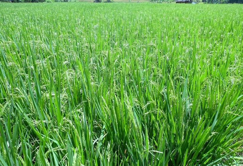 ホテル Villa Santun