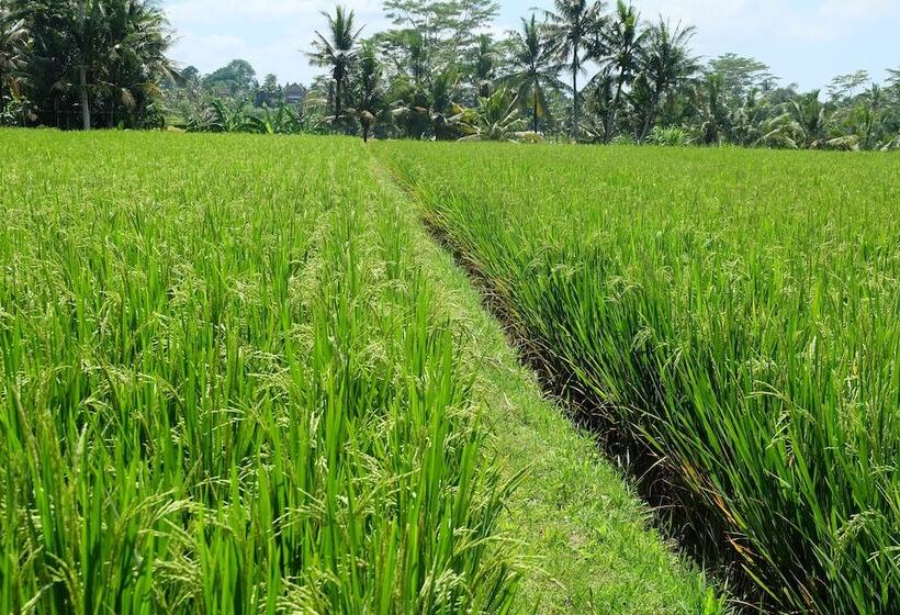 ホテル Villa Santun