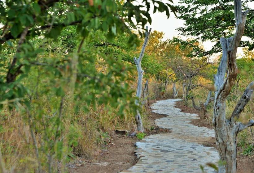 هتل Wildtrack Safaris Eco Lodge