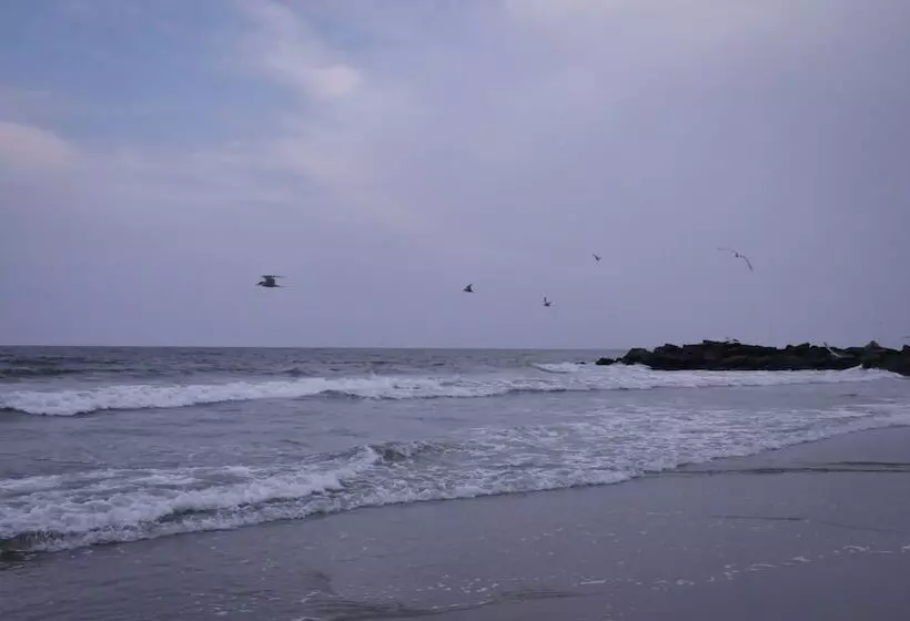 膳宿费 Anyi Guesthouse Jfk