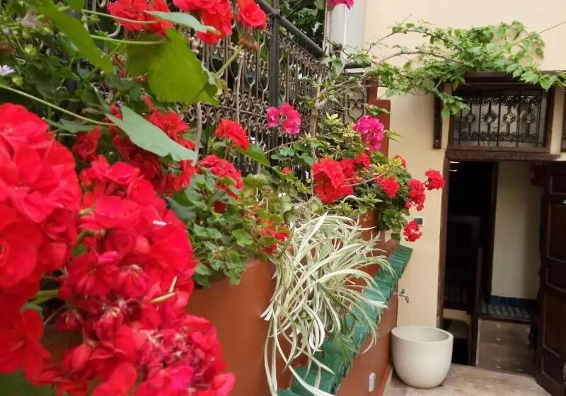 Riad Letchina