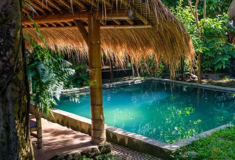 Bed & Breakfast Omunity Bali