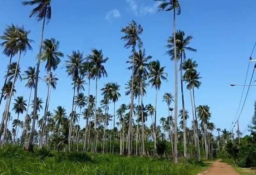 Отель Banana Sunset Bar & Bungalows