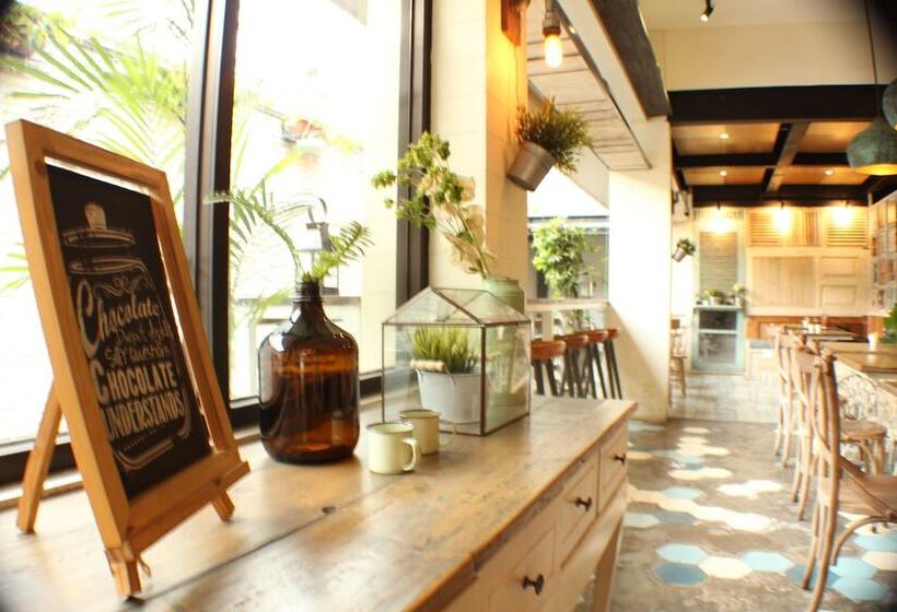 Отель Summerbird Bed And Brasserie