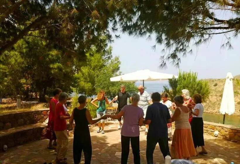 Volissos Holiday Homes