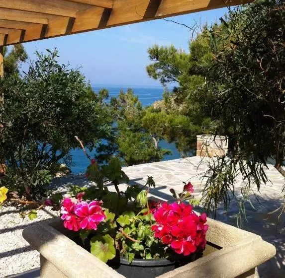 Volissos Holiday Homes