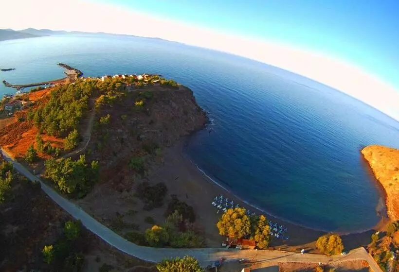 Volissos Holiday Homes