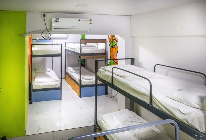 هاستل Backpacker Panda Appetite Mumbai