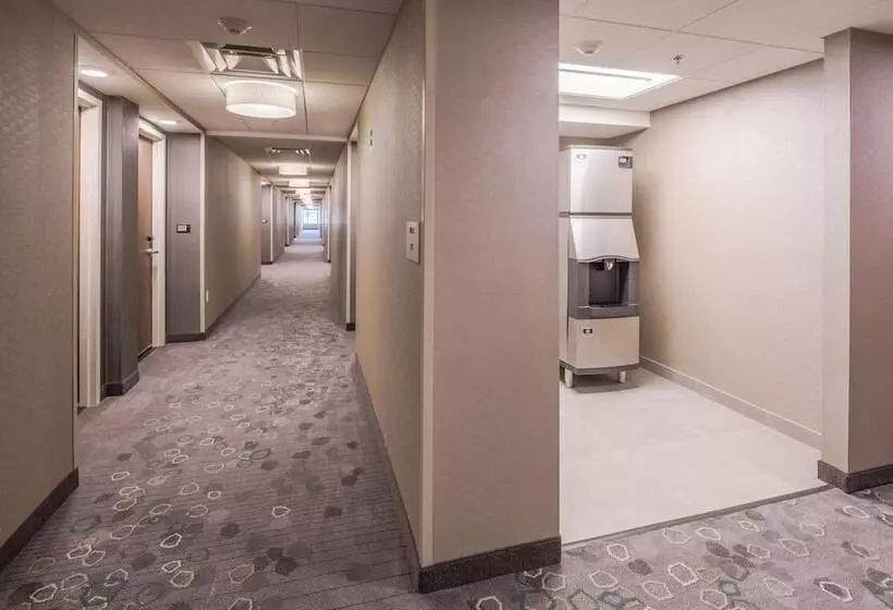 هتل Courtyard by Marriott Chihuahua