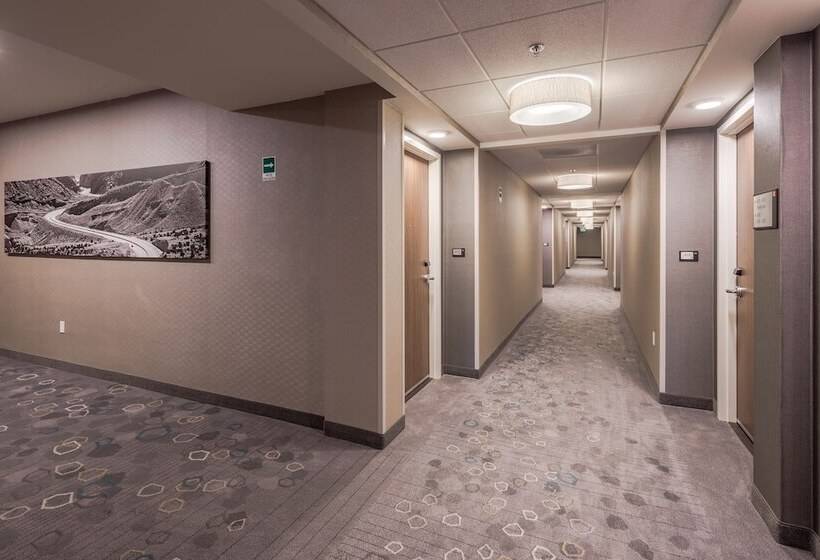 هتل Courtyard by Marriott Chihuahua