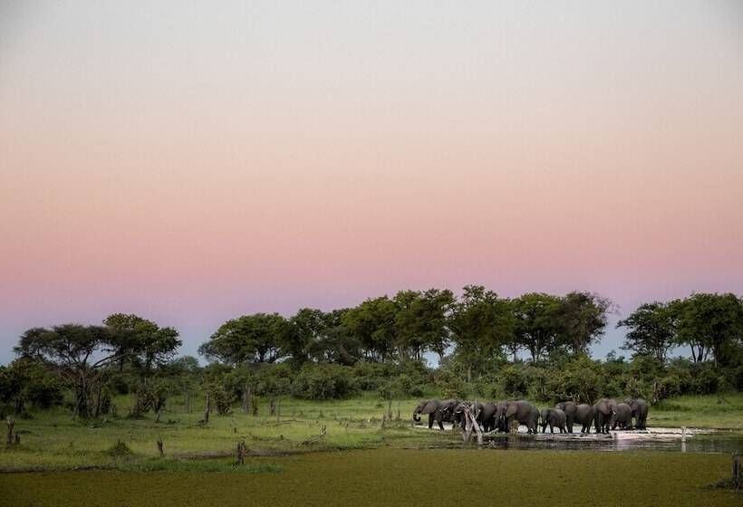 هتل Mogotlho Safari Lodge