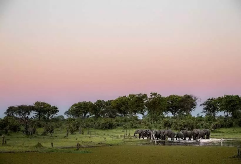 هتل Mogotlho Safari Lodge