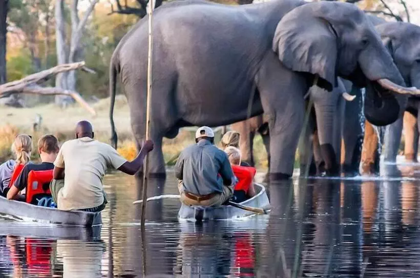 هتل Mogotlho Safari Lodge