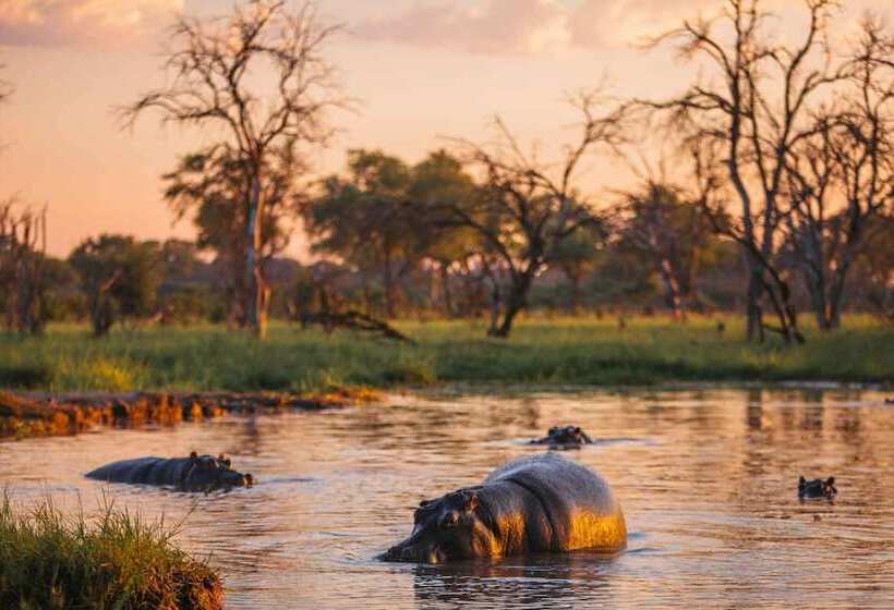 هتل Mogotlho Safari Lodge