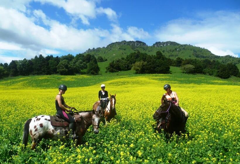 בית מלון כפרי River Valley Lodge