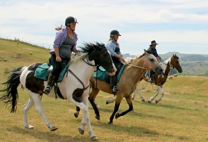 בית מלון כפרי River Valley Lodge
