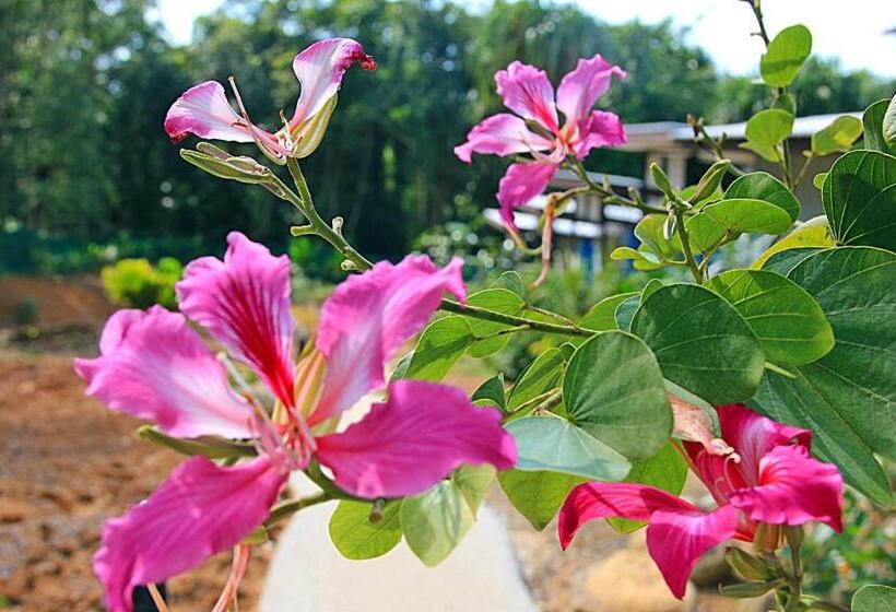 호텔 Chomphu Resort