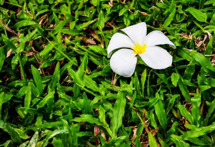 호텔 Chomphu Resort