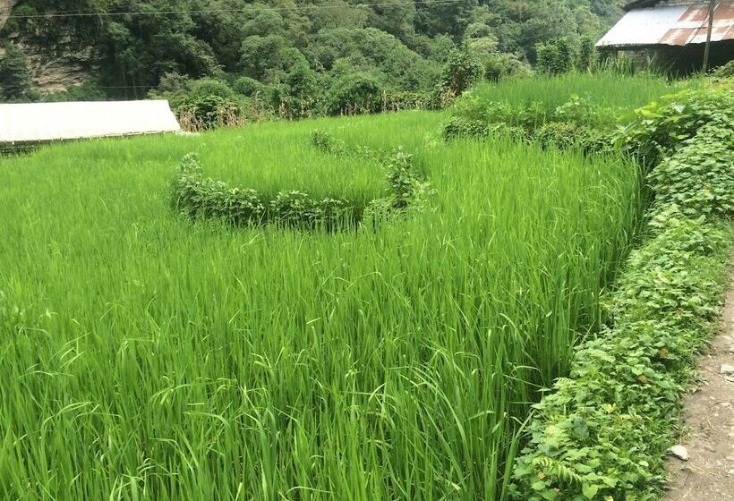 هتل Gallery Nepal