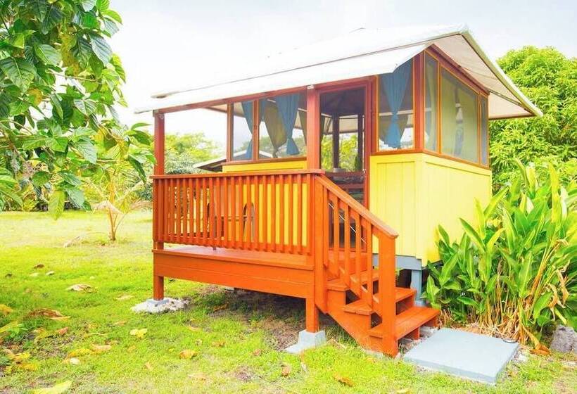 Kirpal Meditation And Ecological Center