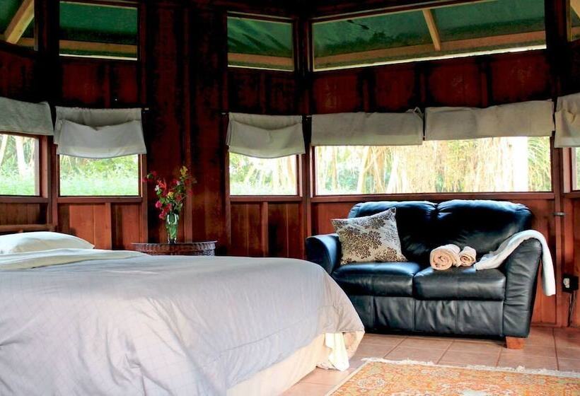 Kirpal Meditation And Ecological Center