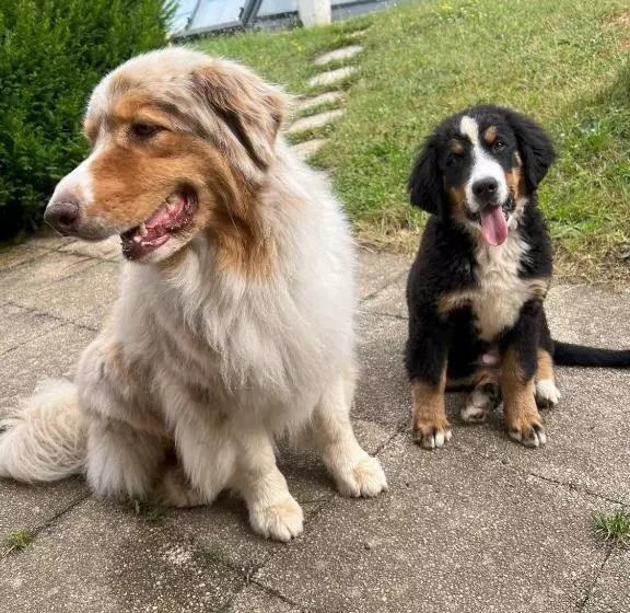 Majatalo Les Jardins De Caribole