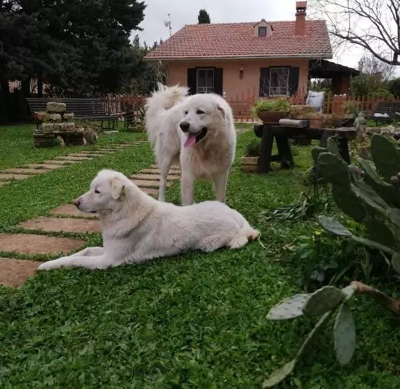 پانسیون Luciano E Concetta