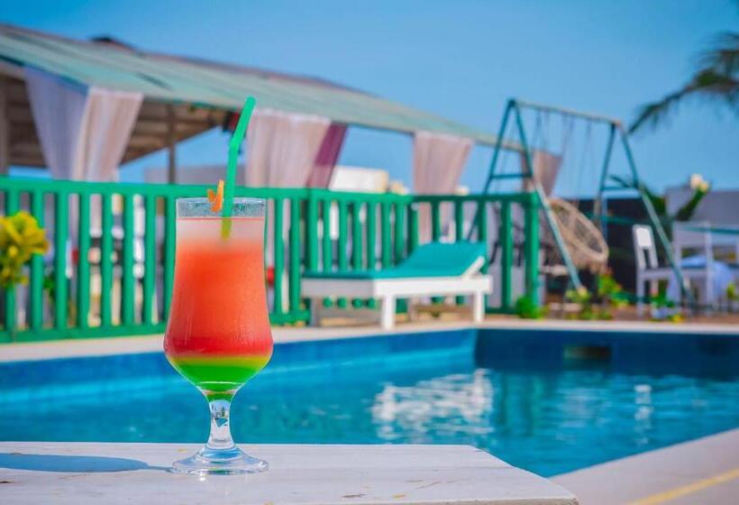 هتل Hôtel Amazone