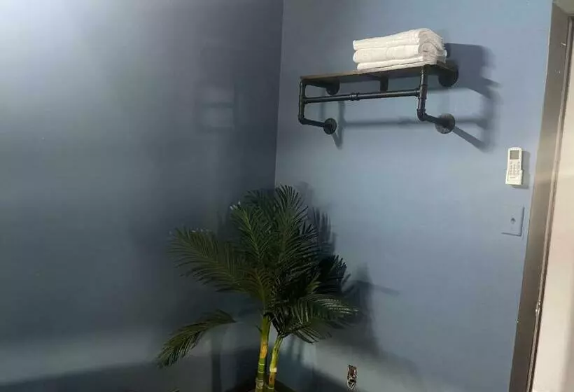 پانسیون Jj Guest House