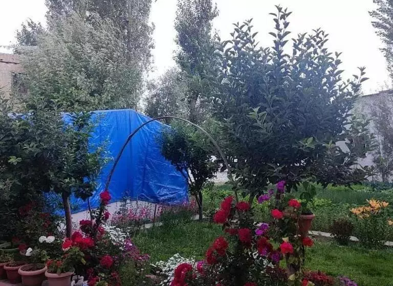 هاستل Jimmys Homestay