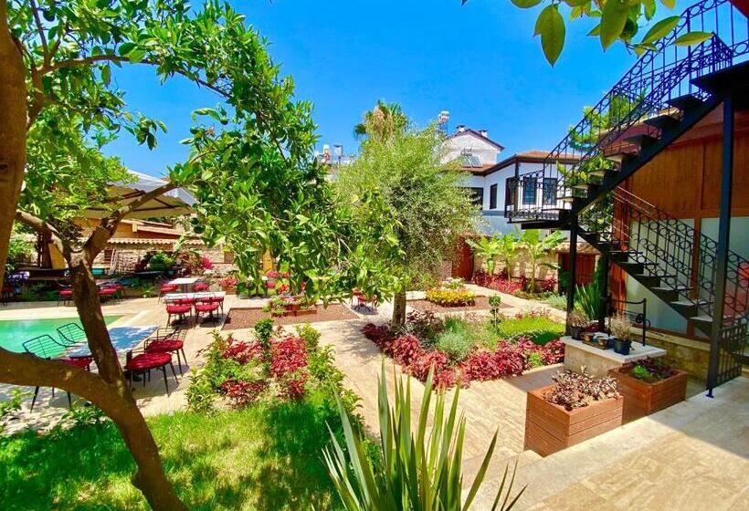 تختخواب و صبحانه Necip Bey Konağı