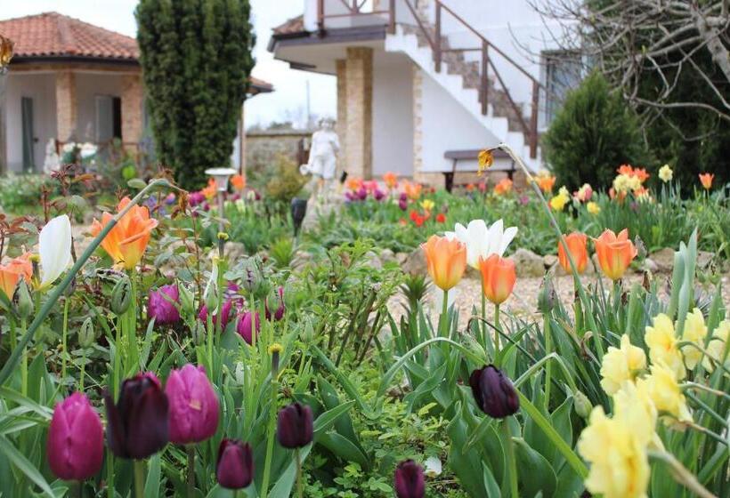 پانسیون къща за гости света марина