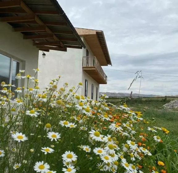 پانسیون Altay Village