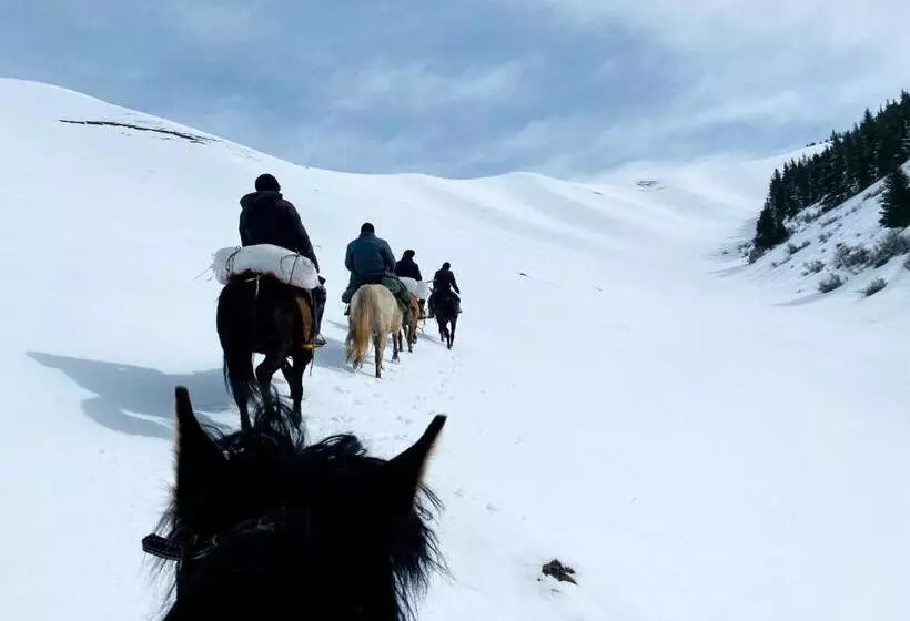 پانسیون Altay Village