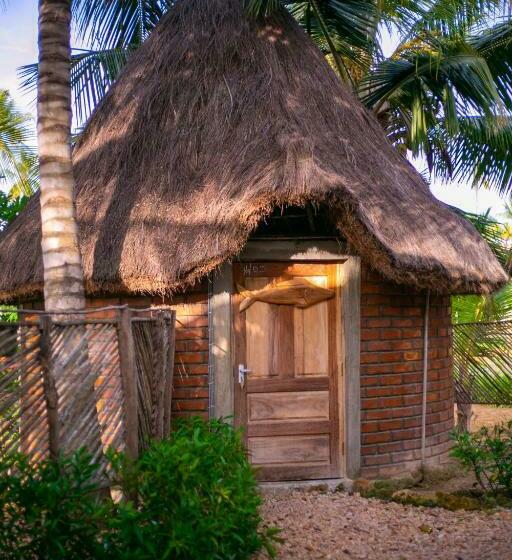 פנסיון Aflii Guest House