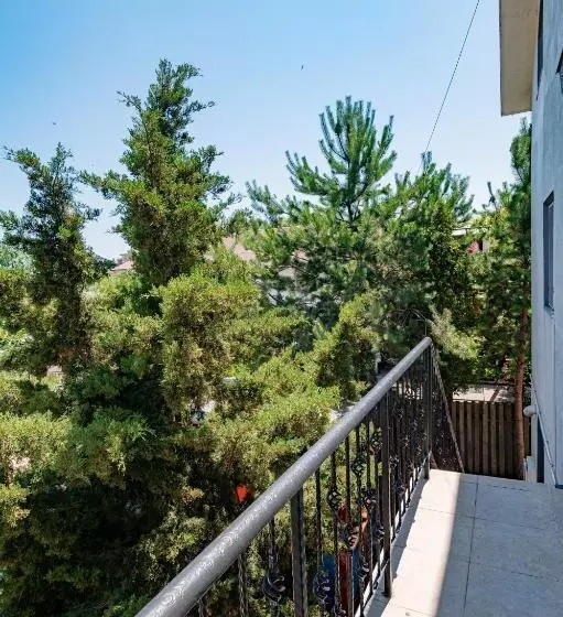 Pensiunea Beta Mamaia Nord
