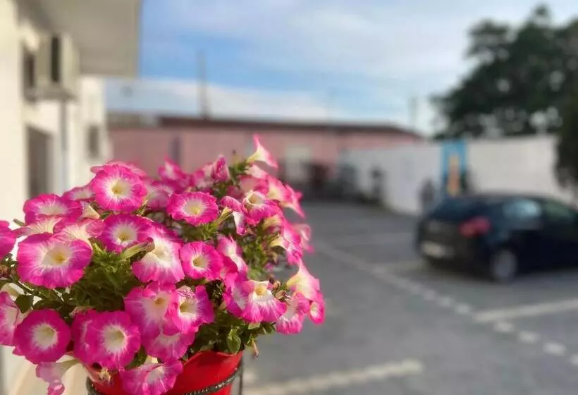 هتل Triho