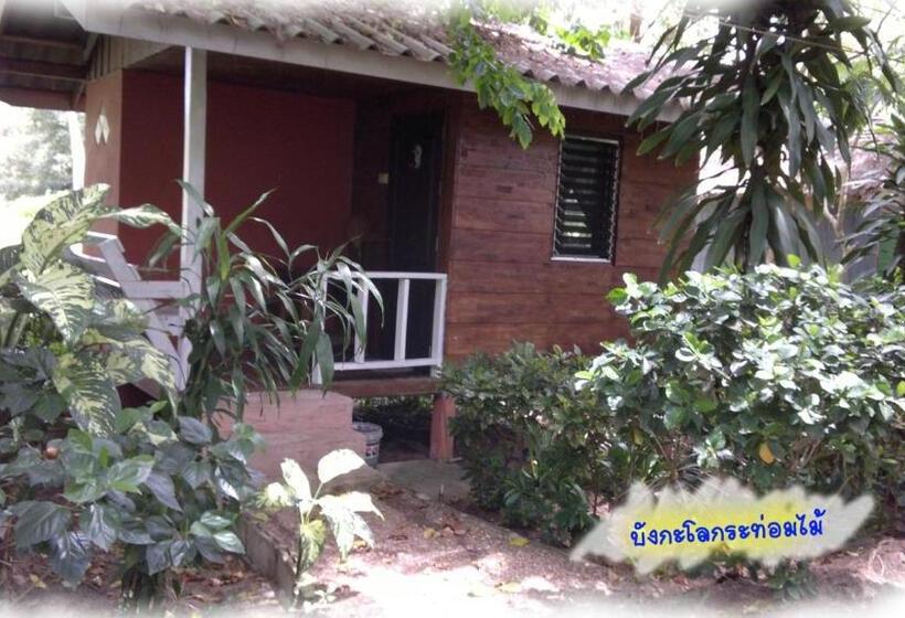 Resort Coconut Garden Bungalow โคโคนัท การ์เด้น บังกะโล