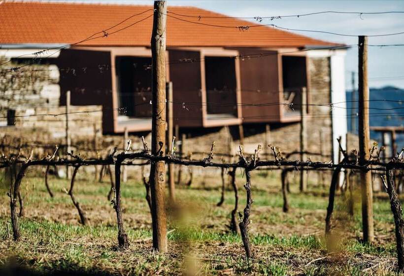 בית מלון כפרי Casa Do Santo   Wine & Tourism