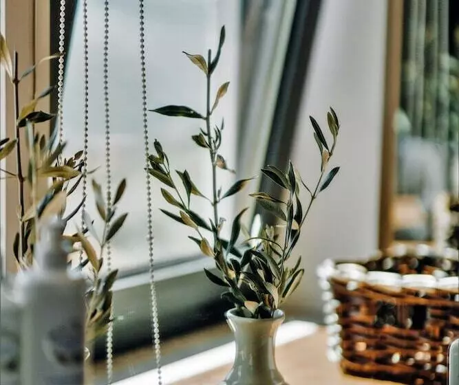 Hotelli Casa Do Santo   Wine & Tourism