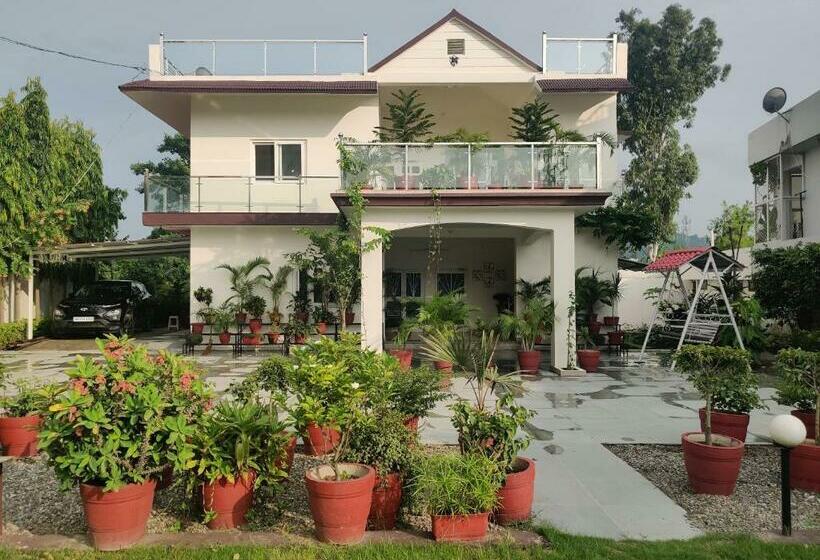 פנסיון The Olive Greens