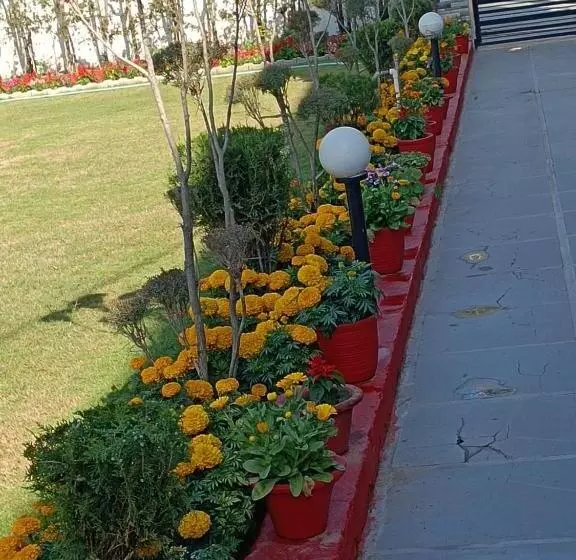 ペンション The Olive Greens