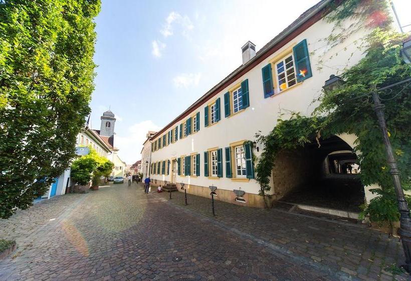 ホテル 1514 Boutique Freinsheim