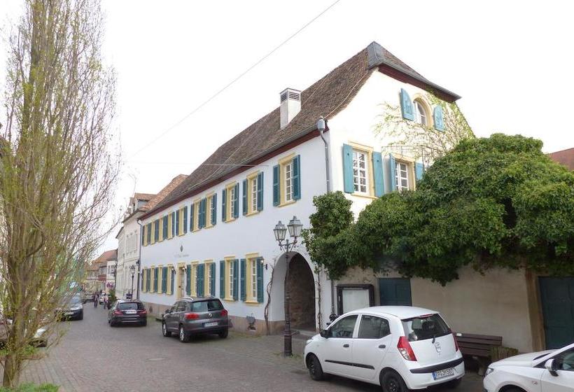 ホテル 1514 Boutique Freinsheim